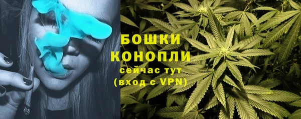 герыч Козловка